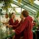 Hotel Carlia - Rooftop Bar Sky